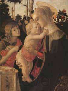 Sandro Botticelli The Virgin and child with John the Baptist (mk05) Germany oil painting art